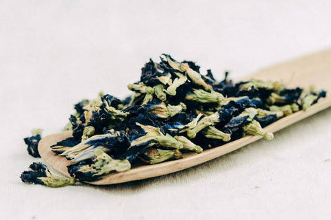 Blue tea Anchan (Clitoria ternatea), AA, 2025
