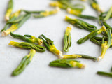 Lotus sprouts