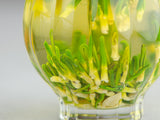 Lotus sprouts