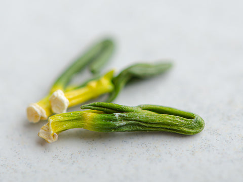 Lotus sprouts