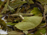 Bai Mu Dan, A, 2026