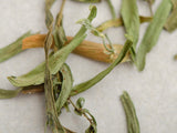 Tarragon leaves