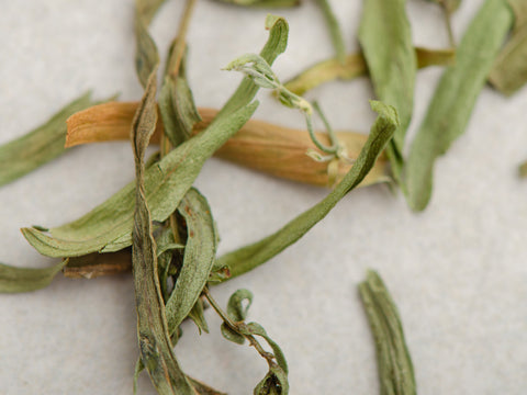 Tarragon leaves