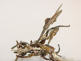 Lao Bai Mu Dan, AAA, 2015