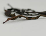 Zemo Dark Oolong, Tkibuli, Georgia, AA, 2025