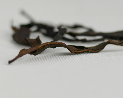 Zemo Dark Oolong, Tkibuli, Georgia, AA, 2025