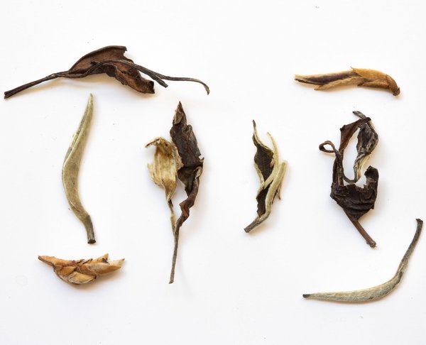 White tea