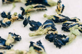Blue tea Anchan (Clitoria ternatea), AA, 2025