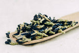Blue tea Anchan (Clitoria ternatea), AA, 2025